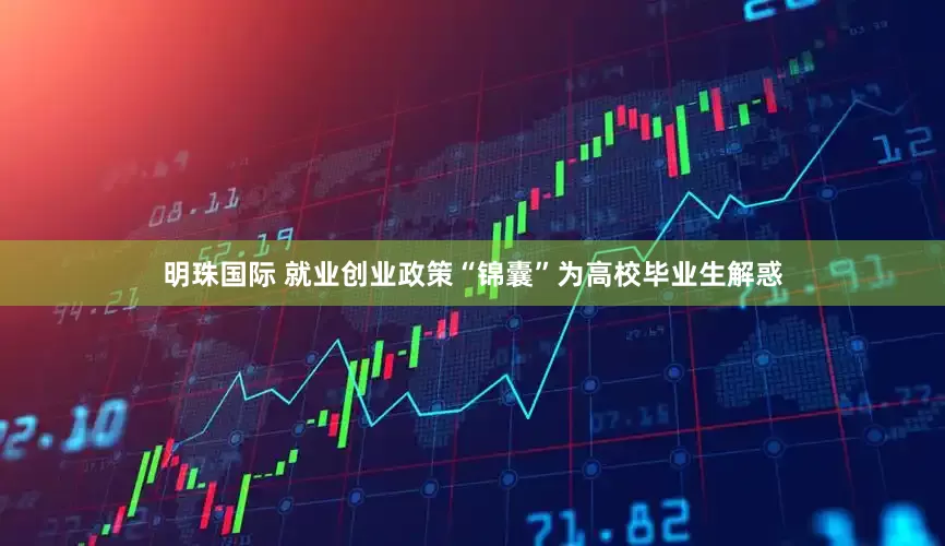 明珠国际 就业创业政策“锦囊”为高校毕业生解惑