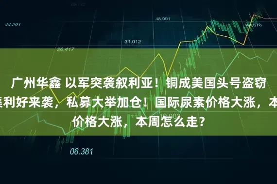广州华鑫 以军突袭叙利亚！铜成美国头号盗窃目标！密集利好来袭，私募大举加仓！国际尿素价格大涨，本周怎么走？