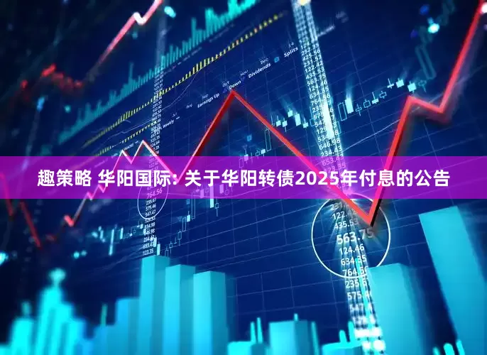 趣策略 华阳国际: 关于华阳转债2025年付息的公告