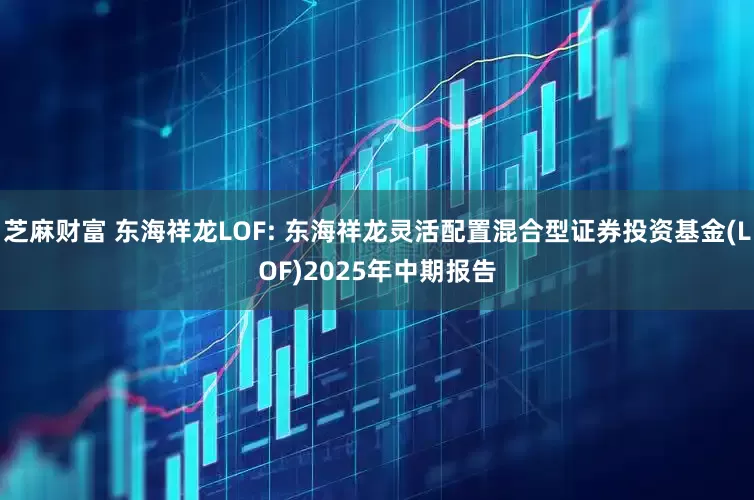 芝麻财富 东海祥龙LOF: 东海祥龙灵活配置混合型证券投资基金(LOF)2025年中期报告