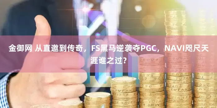 金御网 从直邀到传奇，FS黑马逆袭夺PGC，NAVI咫尺天涯谁之过？