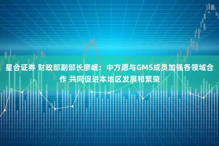 星合证券 财政部副部长廖岷：中方愿与GMS成员加强各领域合作 共同促进本地区发展和繁荣